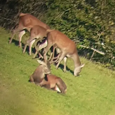 A Avec Terrasse Et Vue Montagne בית נופש Juncalas