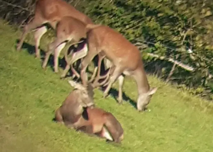 A Avec Terrasse Et Vue Montagne Prázdninový dům Juncalas